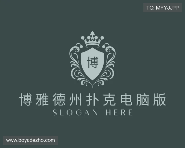 介绍博雅德州扑克电脑版